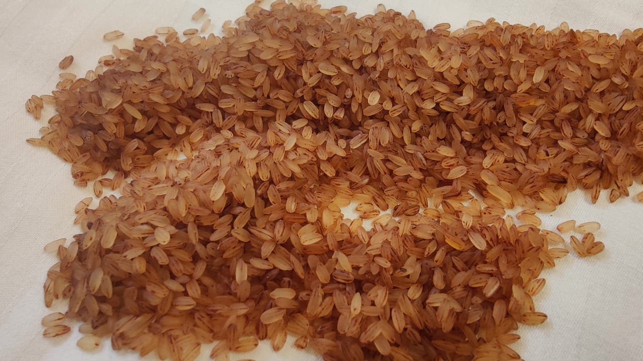 WhatsApp Image 2025-07-08 at 11.48.27 AM.jpeg